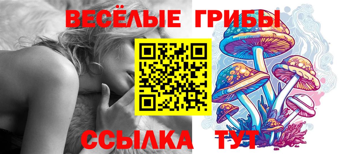 Псилоцибиновые грибы Cubensis Кимовск