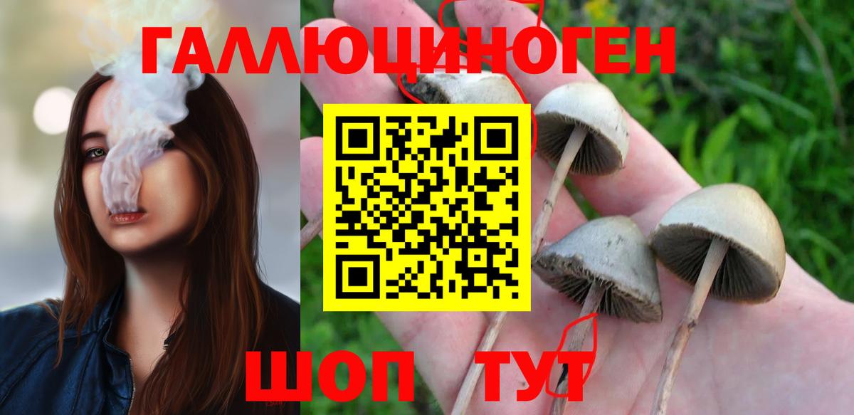 Кимовск  Псилоцибиновые грибы Magic Shrooms  Вход с VPN 